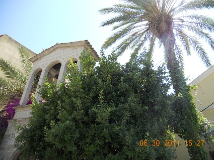 dscn2298.jpg