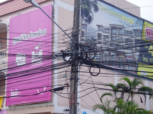 p1011863.jpg