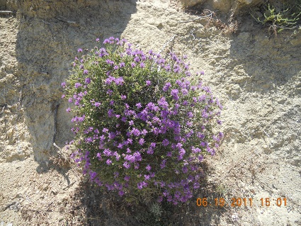 dscn1017.jpg
