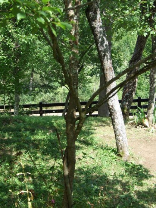 dscf0189.jpg