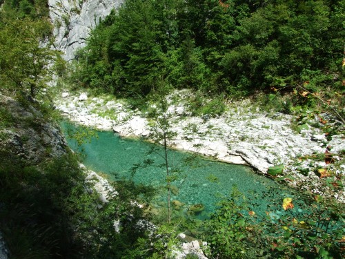 dscf2766.jpg