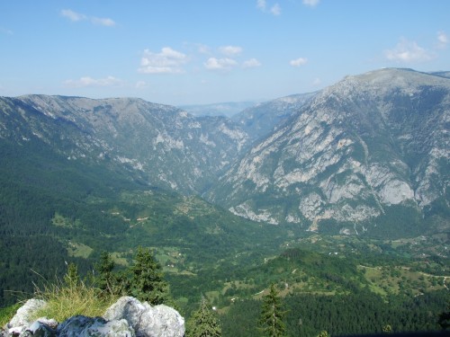 dscf2376.jpg