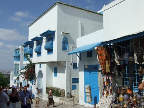 dpscamera0075.jpg