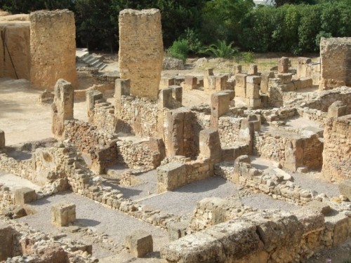 dpscamera0038.jpg