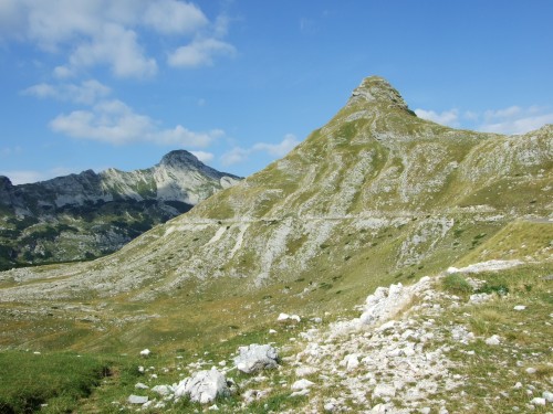 dscf2642.jpg