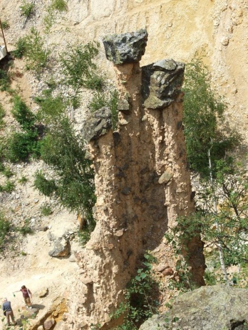 dscf0142.jpg