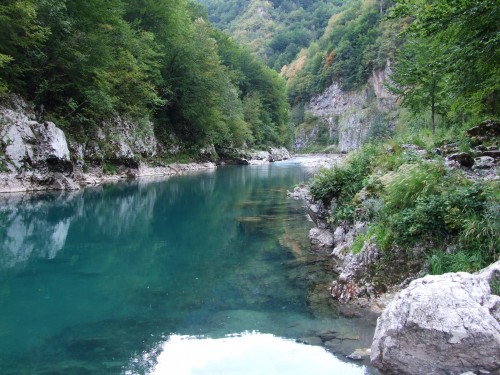 dscf2702.jpg