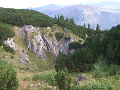 dscf2555.jpg