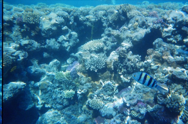 tmp01780012-939925092.jpg