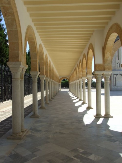 dpscamera0268.jpg