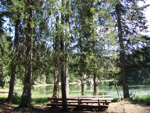 dscf2441.jpg