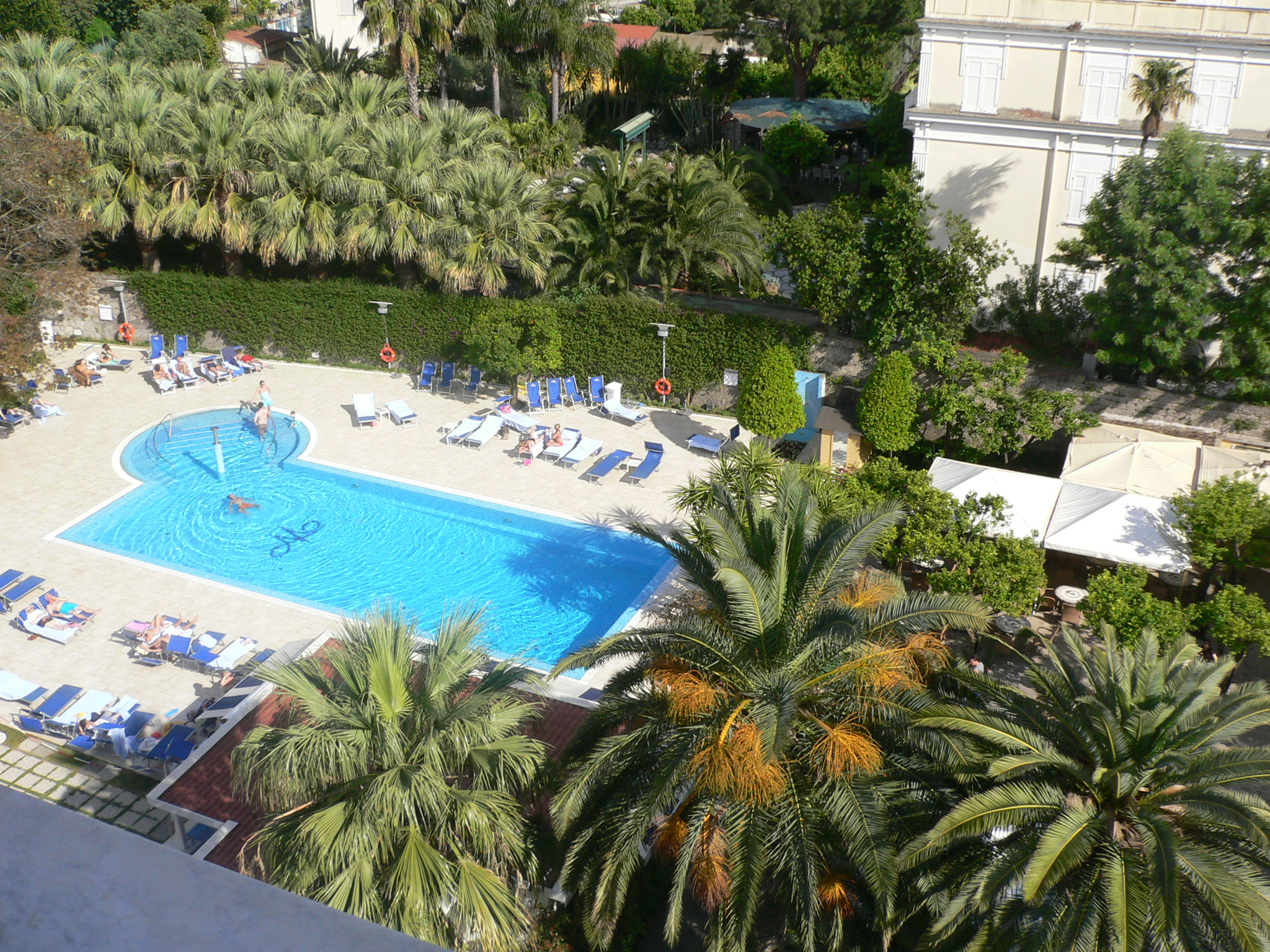 p1000003.jpg