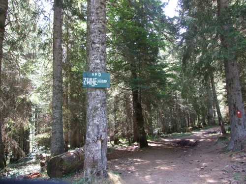 dscf2421.jpg