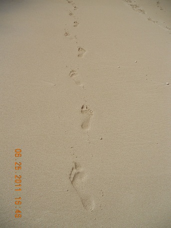 dscn1627.jpg