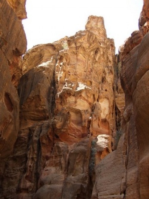 dscf1224.jpg