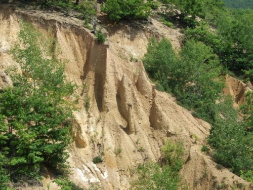 dscf0116.jpg