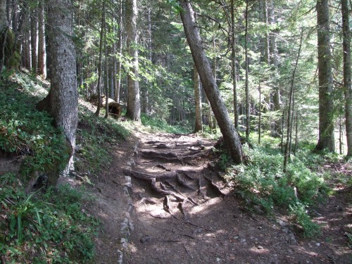 dscf2496.jpg