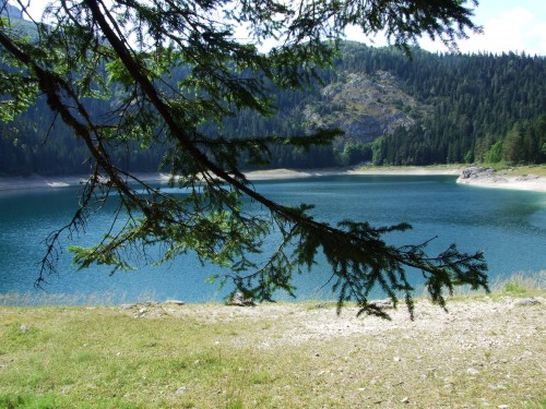 dscf2489.jpg