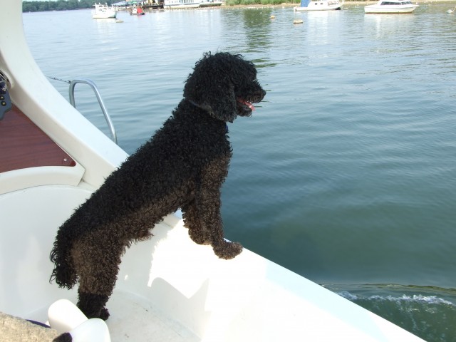 20070729nove0058.jpg