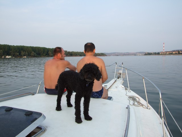 20070729nove0083.jpg