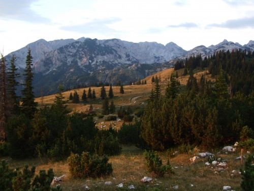 dscf2532.jpg