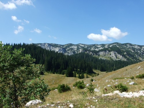 dscf2400.jpg
