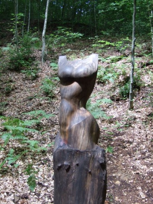 dscf0172.jpg