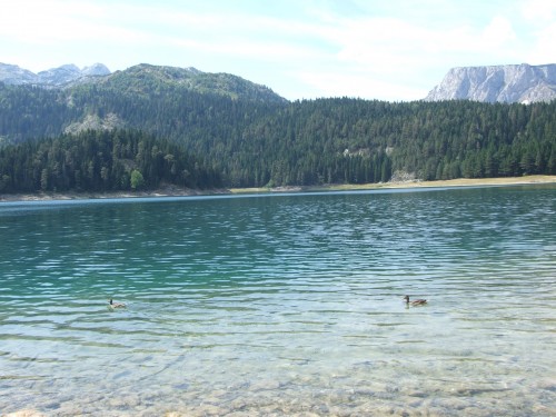 dscf2457.jpg