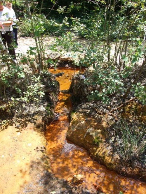 dscf0051.jpg