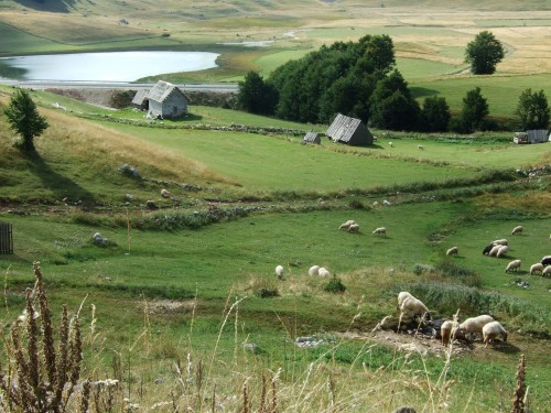 dscf2685.jpg