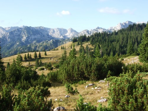dscf2589.jpg