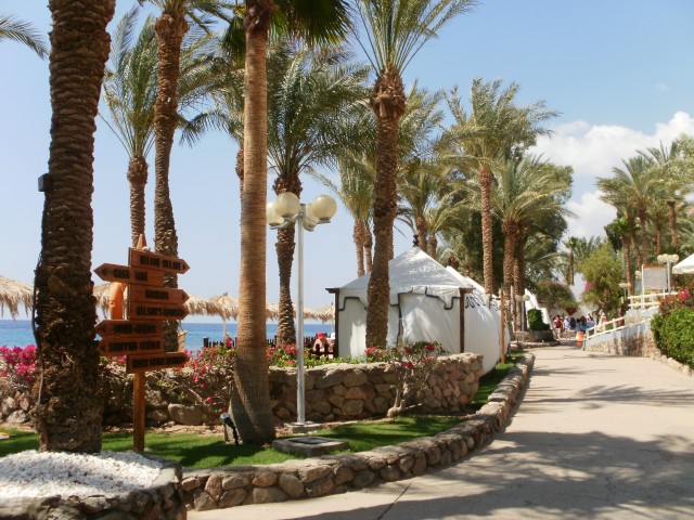 tmpp50200681403762158.jpg