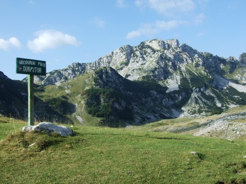 dscf2641.jpg