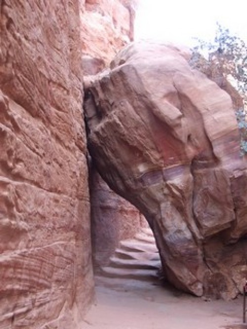 dscf1514.jpg