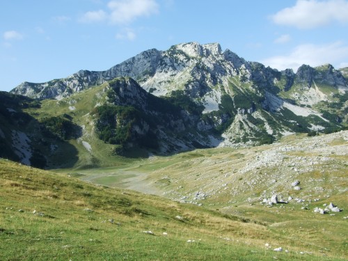 dscf2647.jpg