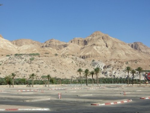 dscf0828.jpg