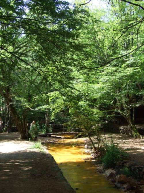 d0041.jpg