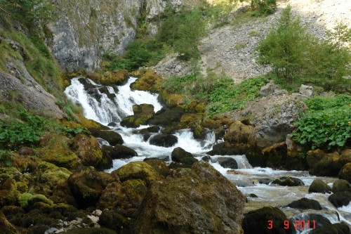 dsc00036.jpg