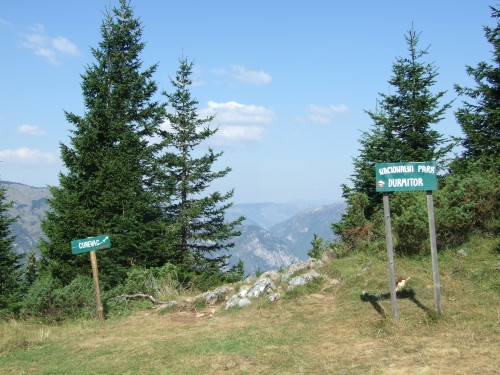 dscf2385.jpg