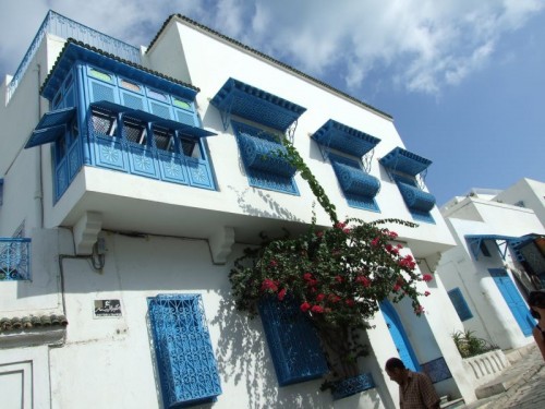 dpscamera0056.jpg
