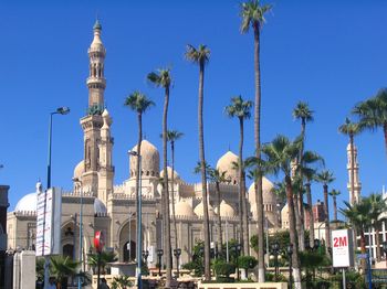mosques-c-torie.jpg