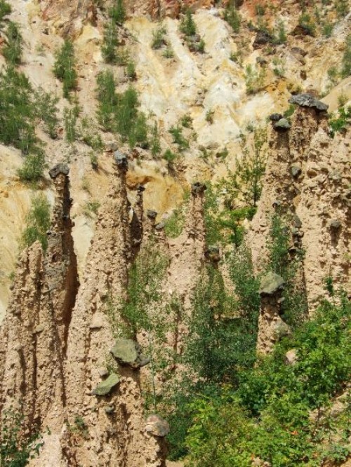 dscf0128.jpg