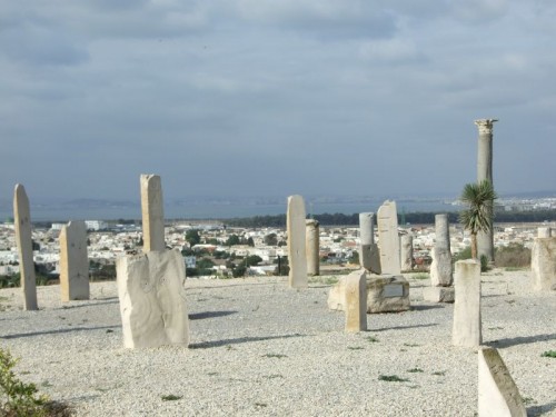 dpscamera0004.jpg