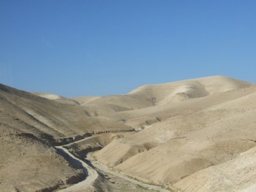 dscf0814.jpg