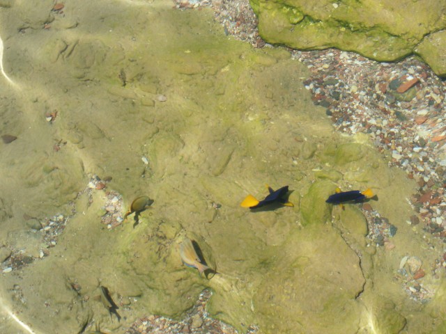tmpp5020060502235596.jpg