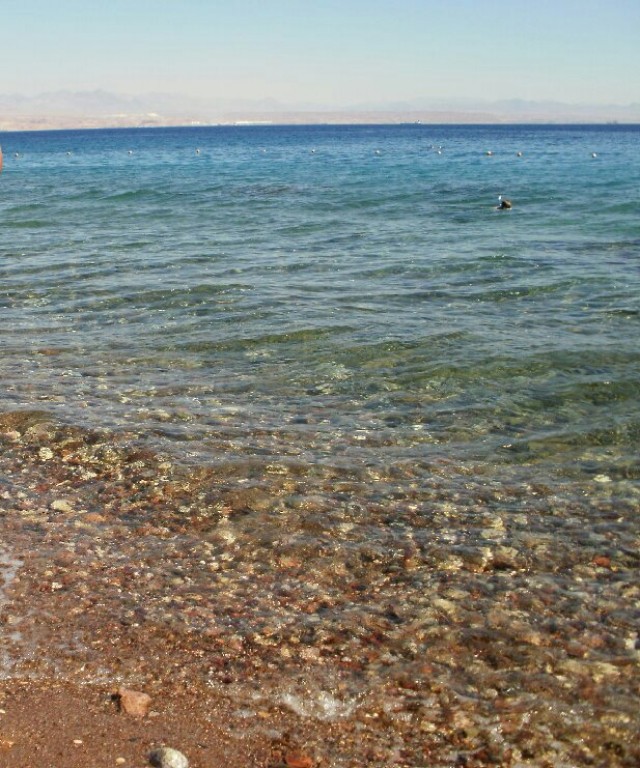 tmppicsplay1379756743094.jpg