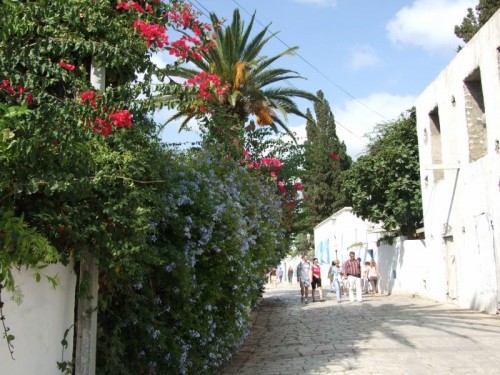 dpscamera0062.jpg