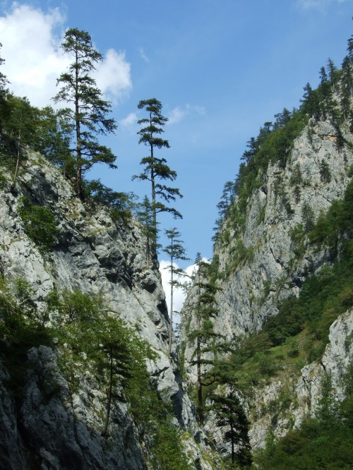 dscf2778r.jpg