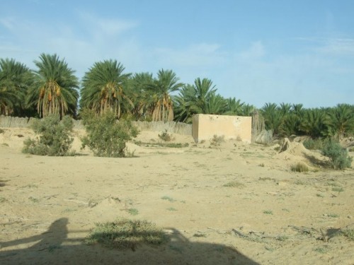 20071003nove0109.jpg