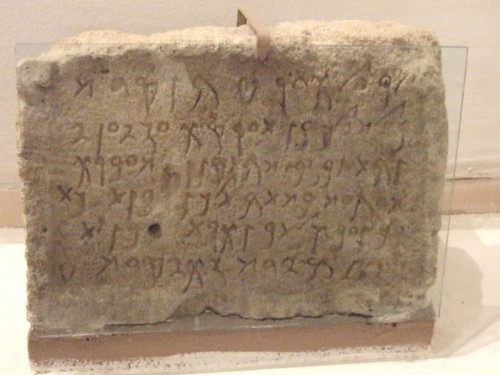 dpscamera0097.jpg